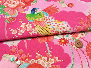 z߂EԍE(sN) 10cmP ؂蔄