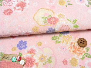 z߂Eaԕ(sN) 10cmP ؂蔄