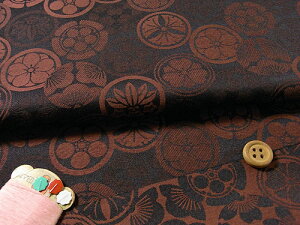 WJ[hƖs(Ԓ) 10cmP ؂蔄