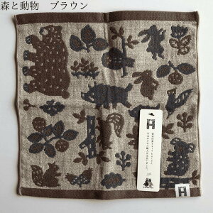 katakataXƓ/ۂہ@nJ` ydK[[ nJ` K[[Pbg oYj Ԃ xr[  j̎q ̎q ^I { 킢 sN lCr[ u[ F  Mtg v