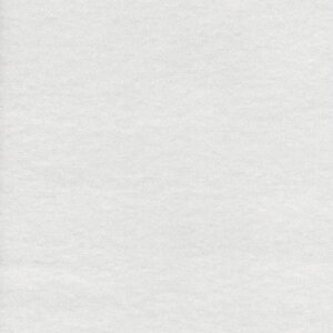 1mPʐ؂蔄 110cm 12 500 Ж ЖыNуln z lq ItN ItzCg uN l tl N n n zn Rbg   100 ؂蔄 ln H~ g 