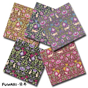 FUWARIEz V[Y 1mPʐ؂蔄 XPA[ vg ̐X 5F܂ n z zn XPA k k k k g  ԕ     n ETM