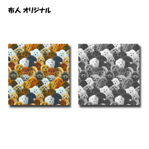 50cmPʐ؂蔄 fW^ vg IbNXn zlIWi AgCv[ĥʂ 2F܂ n z zn gCv[h   Aj}  IbNX ʂ 