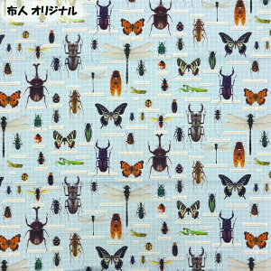 50cmPʐ؂蔄 fW^ vg IbNXn zlIWi A n z zn  IbNX j̎q A   } W{ CNWFbgvg