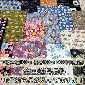 送料無料 福袋 100cmサイズ 選べるアソートセット 10枚×幅108cm 長さ100cm 8種類あります 布 布地 生地 ハンドメイド はぎれ ダブルガーゼ 柄物 ねこ 生地福袋 布地セット パッチ ワーク 布 の 福袋 布地 の 福袋 布地の福袋