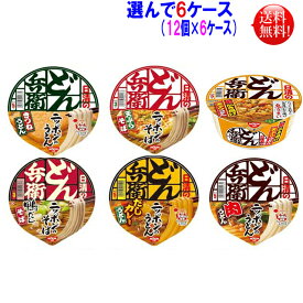 【送料無料】選んで6ケース（12個×6）計72個 関西日清食品どん兵衛　西日本　関西　きつね、天そば、肉、カレー、鴨だしそば鬼かき揚げ天ぷらうどんの6種類