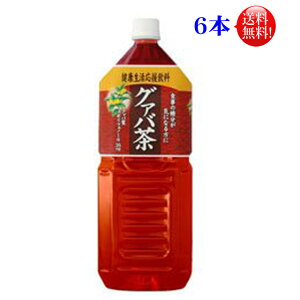 【送料無料】宝積飲料 グァバ茶 2リットルPETプリオ　（関西薬品）