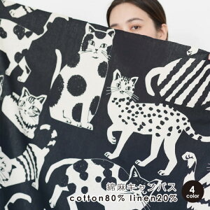 SW����������!echino/�G�`�mNekoNoe K from 30 SEWINGPINS ×echino CAT CAT �Ȗ��L�����o�X�` �R�b�g��80�����l��20�� 50cm�P�ʔ̔� �R�b�g�����l�� ���p���p�� �L���b�g �Ȗ��L�����o�X �˂� �l�R �G�`�m�˂�