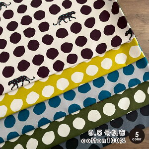 echino/G`m 2024 `Panther` 9.5z Rbg100 50cmPʔ̔ { Rbgl pp  qE/G`m9.5z50cm