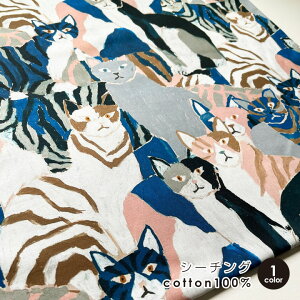 �L�����n �z Ayano Tamuro �L�������� �`��100���V�[�`���O�` NekoNoe K from 30 SEWINGPINS 50cm�P�ʔ̔� ���{�� ���p���p�� �l�R�� �������/�L��������50cm