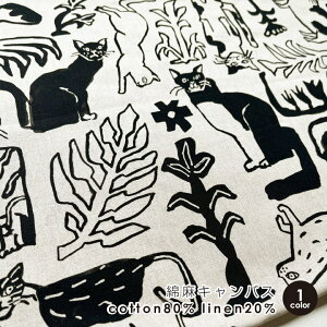 �L�����n �z Ayano Tamuro �L�ƐA�� �`�Ȗ��L�����o�X�` NekoNoe K from 30 SEWINGPINS 50cm�P�ʔ̔� ���{�� ���p���p�� �l�R�� �������/�L�ƐA��50cm