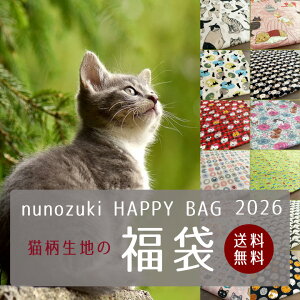 ő700~N[|Ώ!y2020`̔X^[gIzLn  2026 HAPPYBAG ˂炯 JbgNXZbg yn×50cm 5ZbgzL l n z Rbgl |  