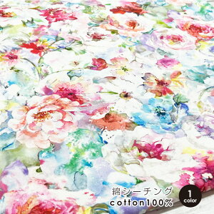 ő700~N[|Ώ!nora. n z ` Shangri-ra@ʉԕzCg ȃV[`O Rbg 50cmPʔ̔ pp  nhCh fW^vg fUCi[Y I km