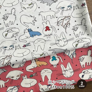 nora. L n z ` emotion ȃV[`O Rbg 50cmPʔ̔ pp  nhCh fW^vg fUCi[Y ˂ lRI kmYL zD/nora.G[V