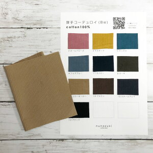 yJ[TvzBY n n z 8WR[ 100 R[fC R[V pp nhCh  ӂ  { MADE IN JAPAN kmYL zD /950Tv