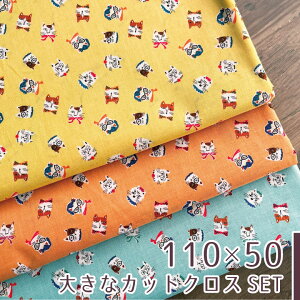 y110×50cm 3ZbgzJbgNXZbg L n z ˂ V[`O Rbg100 w pp ˂ IV  kmYL/˂3FZbg