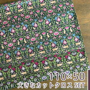 y110×50cm 2Zbgzn z ԂǂƐX̒Ԃ ȃXPA[ Rbg100 |  nhCh pp ԕ   X  kmYL zD ԂǂƐX̒Ԃ2FZb