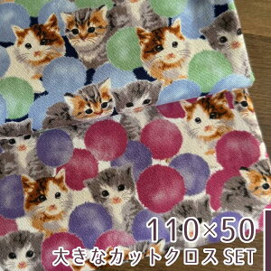 y110×50cm 2ZbgzL n z ۂۂLeB IbNX Rbg100% pp i ԕ pp ˂ lR  I 킢/ۂۂLeB2FZbg