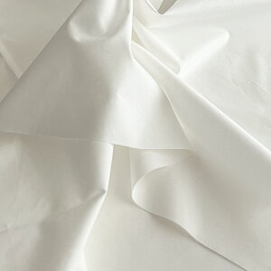 10Z`Pʁzn n z ^CvC^[y1zItzCg Rbg100 pp l q ĕ  IV kmYL zD ^CvC^[/10cm