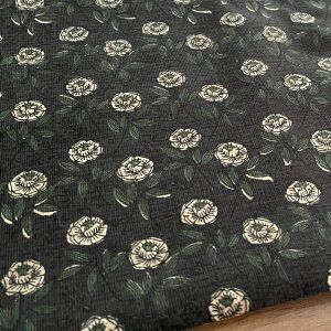 ԕ R[fC Be[WK[f̃VcR[y5zubN R[V pp 100 H~ | z n n n z  IV kmYL zD Be[WK