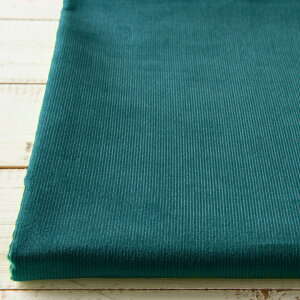 y10Z`PʁzBY n n z VcR[ R[fC y7zu[O[  R[V 100 pp H~ | z n kmYL zD 800/10cm