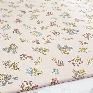 n z RXXor IbNX Rbg100% 50cmPʔ̔ pp  ΂ ǂԂ i ԕ  H  w 킢 kmYL RXXor50cm