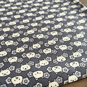 y10Z`PʁzL n z lRO y2zu[OC IbNX Rbg100% pp ˂ lR  I ԕ 킢/lRO10cm