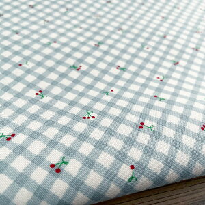 y10Z`Pʁzn z Ȃځ@y2zu[@IbNX Rbg100% `F[ ؍  I 킢/Ȃ 10cm