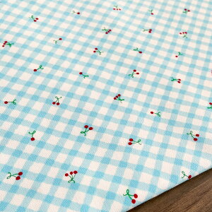 y10Z`Pʁzn z Ȃځy6zCgu[ IbNX Rbg100% `F[ ؍  I 킢/Ȃ 10cm