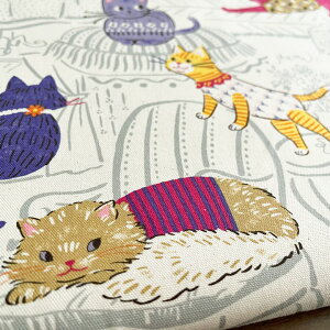 L n z ptAj} ˂ IbNX Rbg100% 50cmPʔ̔ pp ˂ lR  I 킢/ptAj} ˂A50cm