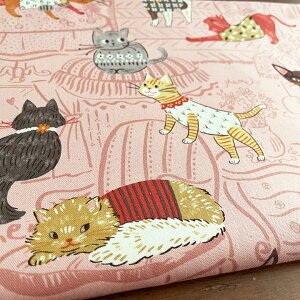 L n z ptAj} ˂ IbNX Rbg100% 50cmPʔ̔ pp ˂ lR  I 킢/ptAj} ˂A50cm