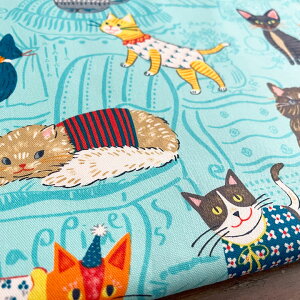 L n z ptAj} ˂ IbNX Rbg100% 50cmPʔ̔ pp ˂ lR  I 킢/ptAj} ˂A50cm