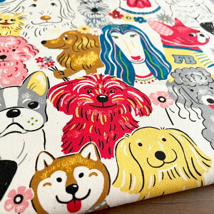  n z ptAj}  IbNX Rbg100% 50cmPʔ̔ pp Č v[h ` _bNX }`[Y uh[ uhbO tu r[O /ptAj}