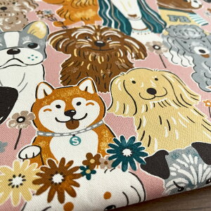  n z ptAj}  IbNX Rbg100% 50cmPʔ̔ pp Č v[h ` _bNX }`[Y uh[ uhbO tu r[O /ptAj}