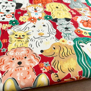  n z ptAj}  IbNX Rbg100% 50cmPʔ̔ pp Č v[h ` _bNX }`[Y uh[ uhbO tu r[O /ptAj}