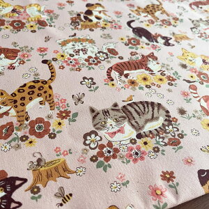 y10Z`PʁzL n z ptAj} t[L @y2zsN@IbNX Rbg100% pp ˂ lR  I 킢/ptAj} t[˂C 10cm