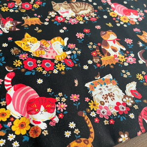 ő700~N[|Ώ!y10Z`PʁzL n z ptAj} t[L @y4zubN@IbNX Rbg100% pp ˂ lR  I 킢/ptAj