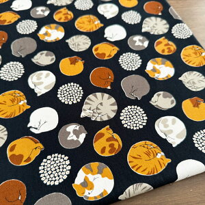 y10Z`PʁzL n z ܂L IbNX Rbg100%y5zubN pp ˂ lR  I 킢/܂L10cm