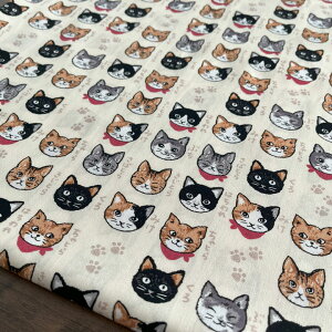 ő700~N[|Ώ!L n z L} V[`O 50cmPʔ̔ Rbg100 w pp ˂ IV  kmYL/L}50cm