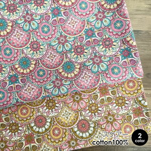 ő700~N[|Ώ!n z ؋B XPA[ Rbg100 50cmPʔ̔ |  nhCh pp ߐn  i kmYL zD/؋B 50cm