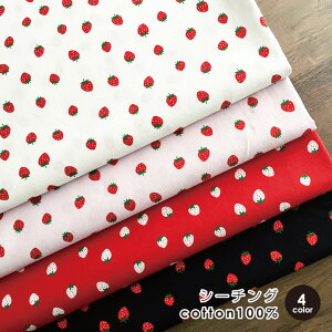 n z  V[`O 50cmPʔ̔ Rbg100 w pp 킢 IV  kmYL 50cm