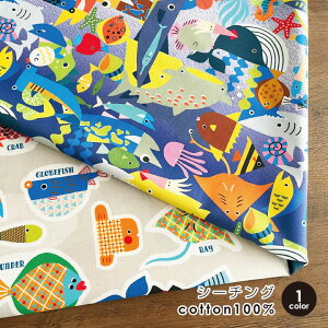  n zuȋ}Ӂv RiCONIC Design V[`O 50cmPʔ̔ Rbg100 fW^vg pp ȕ IV  I kmYL/ȋ}50cm