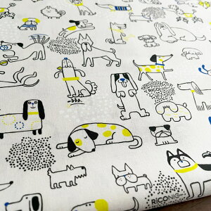 y10Z`Pʁz n zuʂv RiCONIC Design V[`Oy1zAC{[ Rbg100 fW^vg pp  IV  I kmYL/ʂ10cm