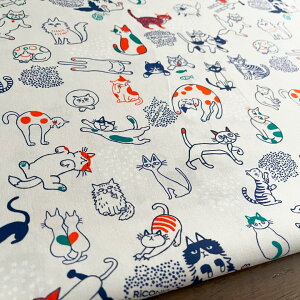y10Z`PʁzL n zu˂v RiCONIC Design V[`O y1zAC{[ Rbg100 fW^vg pp ˂ IV  I kmYL/˂10cm