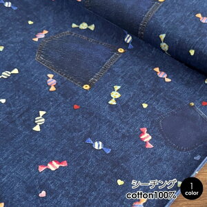 ő700~N[|Ώ!n zuLfjn[gv RiCONIC Design V[`O 50cmPʔ̔ Rbg100 fW^vg pp fj LfB n[g IV  I km