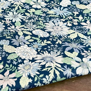 ő700~N[|Ώ!ԕ n z t[A\[g ȃcC Rbg100 50cmPʔ̔ pp  Rbg΂₵ kmYL t[A\[g50cm