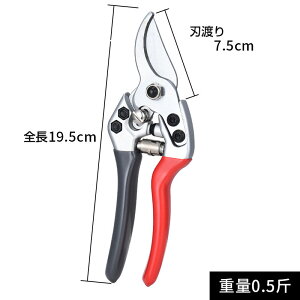 ؂ꖡQI ΂ ő}a 25mm  ~߉H ͂  oT~ nT~