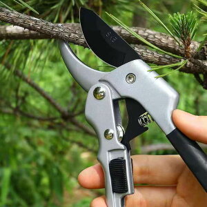 ΂ SK5 |nT~  ~ }؂ oT~  }  A  ʎ  ͂ nT~ v | y y v MA p[  `Fbg }؂ ƒ؉ |p