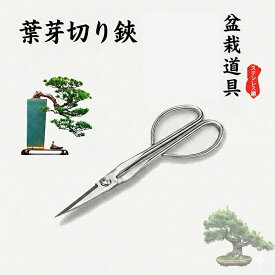 【楽天1位】 盆栽鋏 盆栽ハサミ ステンレス 215mm 葉切り 芽切り 剪定ばさみ 剪定ハサミ 盆栽道具 入門 初心者 プロ シルバー 錆びにくい 園芸用品 ガーデニング 植木 枝切り 盆栽 はさみ 伝統 おしゃれ ギフト 敬老の日 父の日 精密 芽摘み さつき 剪定 ステンレス鋼