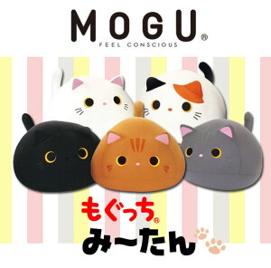 MOGUiOj݁[yMOGUKizv[g Mtg pI r[YNbV ʂ ˂ L Lbg  w oYj 킢 a ʂ l` ӂӂ LbY 
